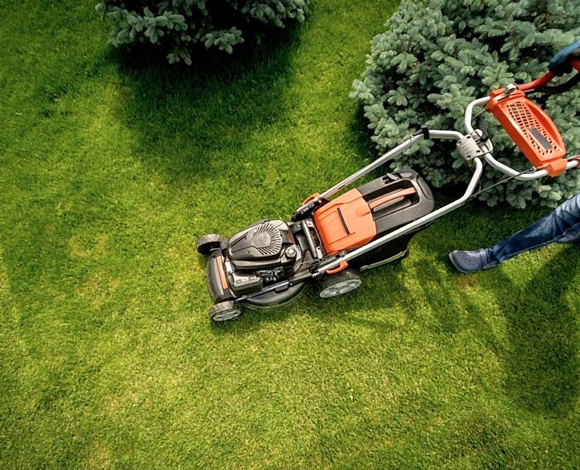 Bahçe Bakım Hizmetleri