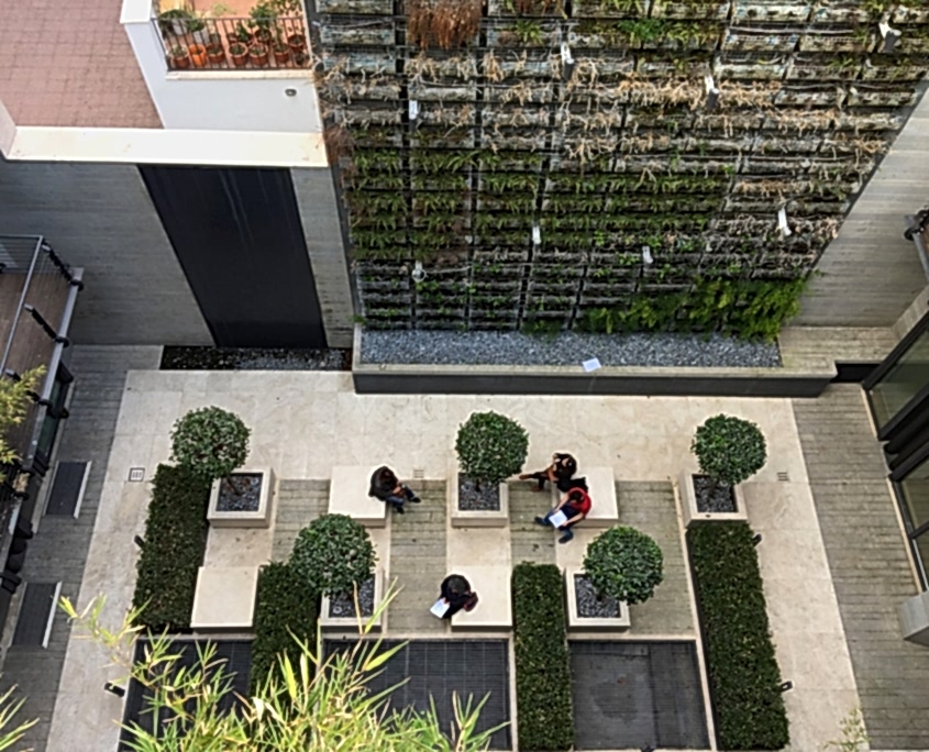 Dikey Çatı ve Teras Peyzaj Uygulamaları