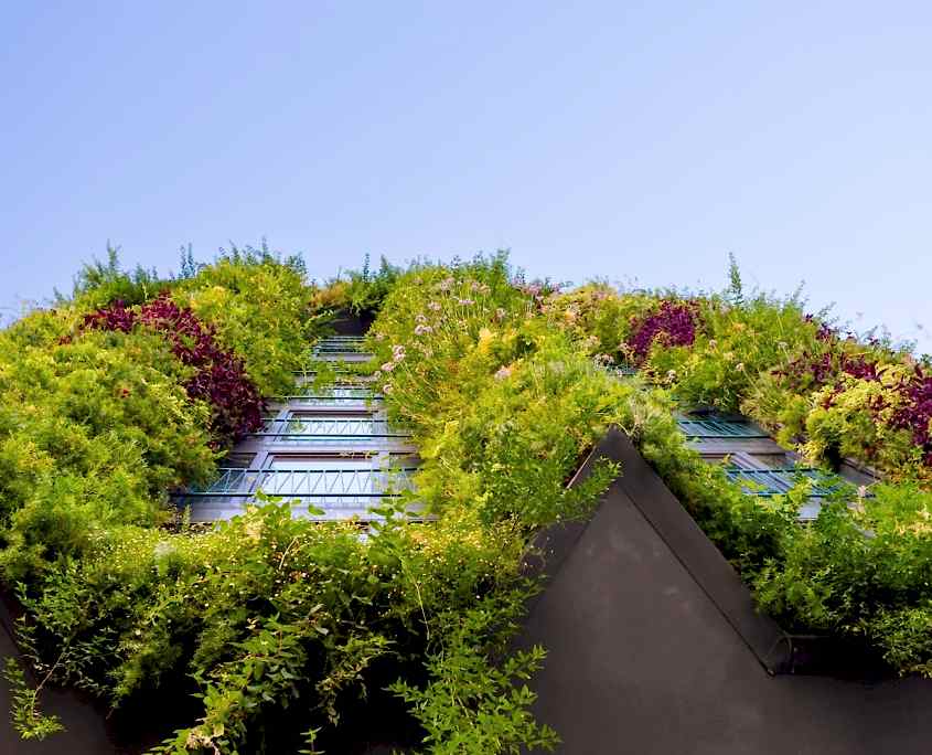Dikey Çatı ve Teras Peyzaj Uygulamaları