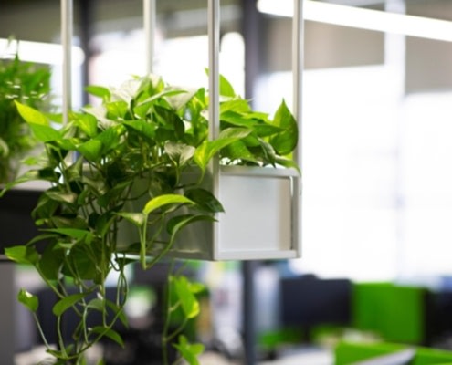 Yorel Mühendislik Peyzaj Uygulaması