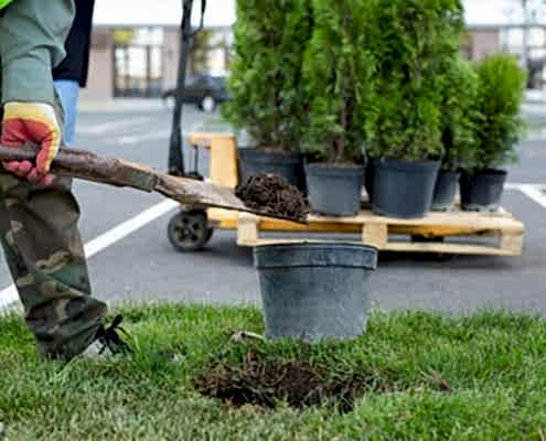 Alaz Kundura Peyzaj Çalışması