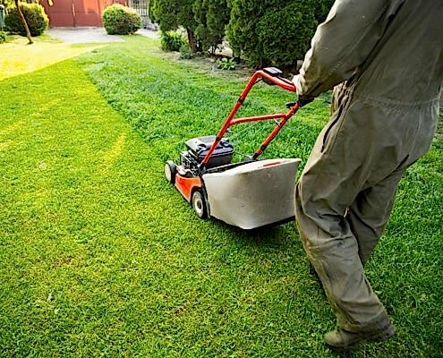 Altın Oran İş Sağlığı Peyzaj Çalışması