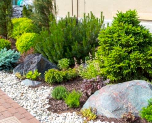 Dmt Enerji Peyzaj Çalışması