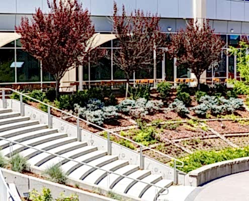 Bumar Grup İnşaat Peyzaj