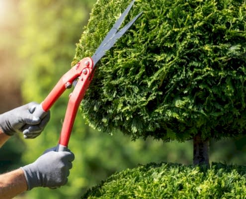 Karakurt Elektromekanik Peyzaj Uygulaması