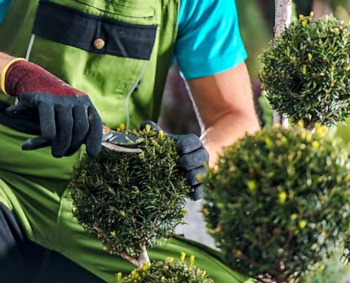 Asm İnşaat Dekorasyon Peyzaj Çalışması