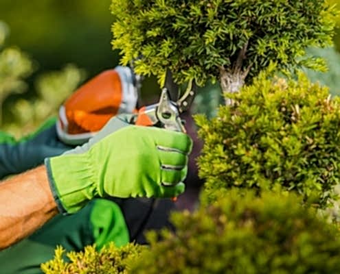 Erdemler Elektromekanik Peyzaj Çalışması