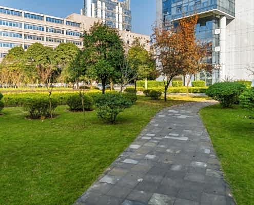 Naturel Boya Peyzaj Çalışması