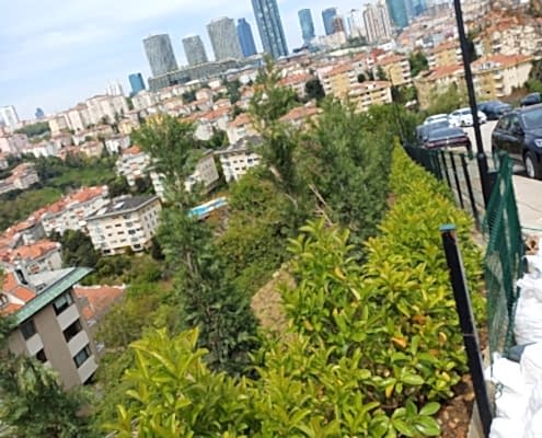 TRT Ulus Peyzaj Çalışması (2)