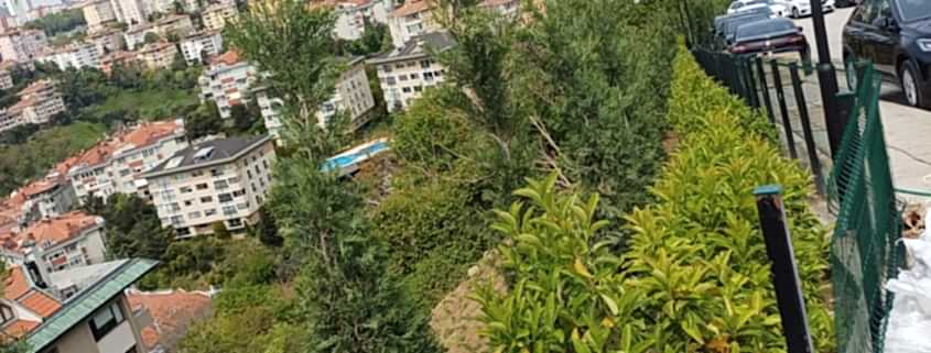 TRT Ulus Peyzaj Çalışması (2)