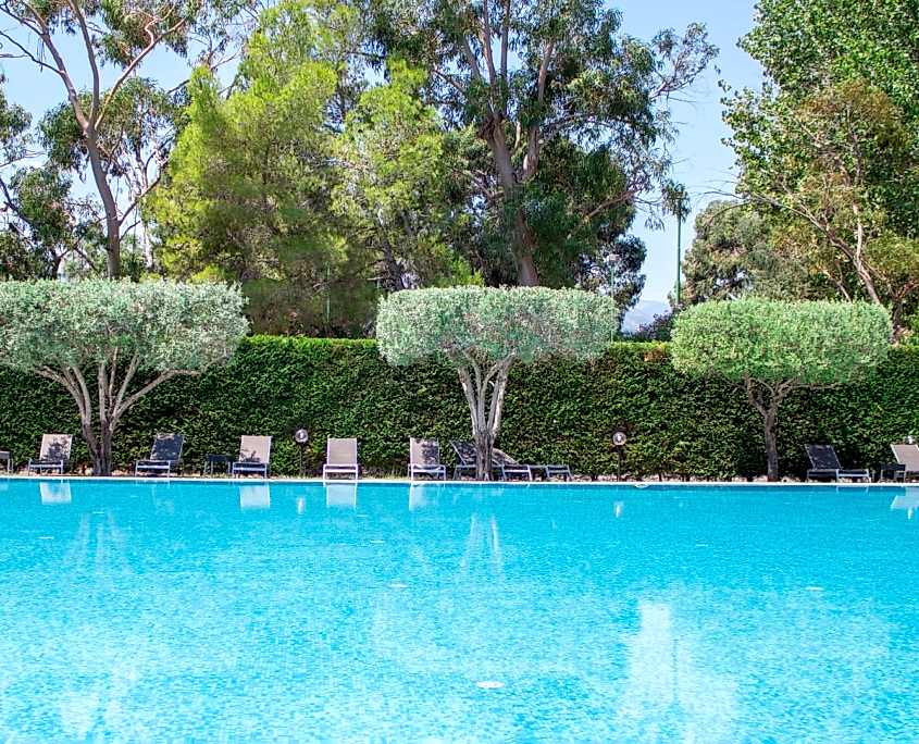 Yüzme Havuzu Peyzaj