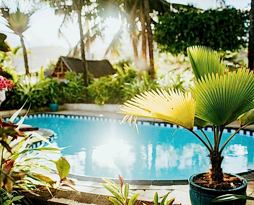 Yüzme Havuzu Peyzaj