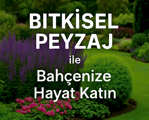 Bitkisel Peyzaj